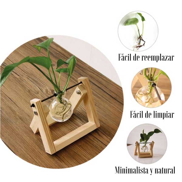 Jarrones de cristal con soporte de madera y metal giratorio | Decoplantia