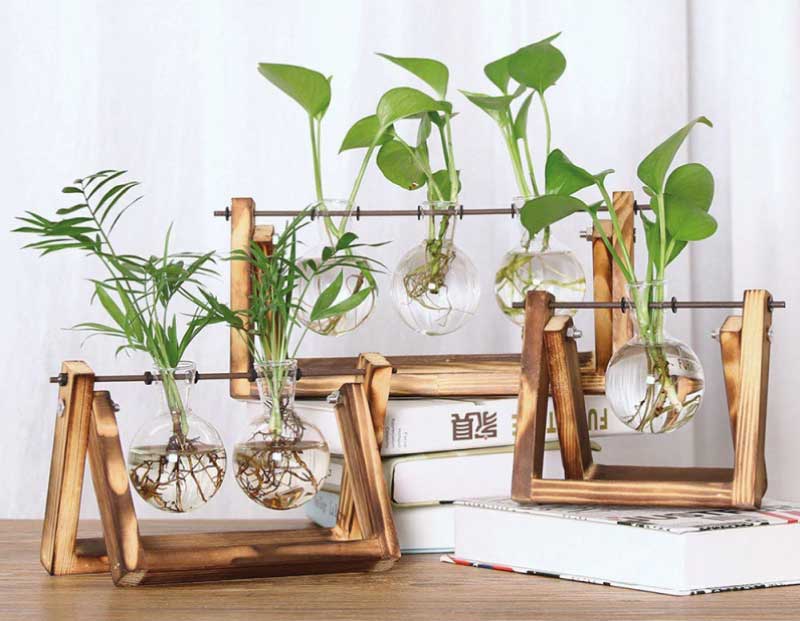 Jarrones de cristal con soporte de madera y metal giratorio | Decoplantia